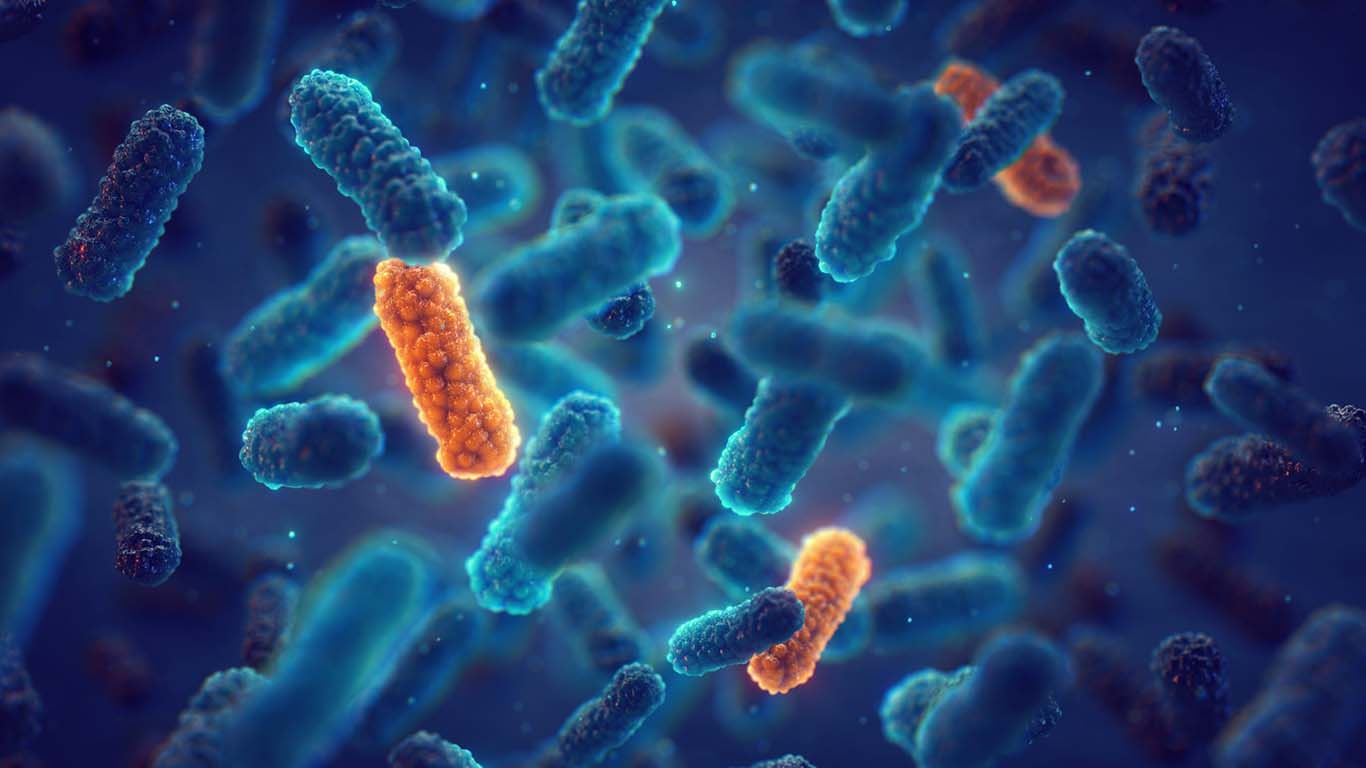 Ilustrasi antimicrobial resistance (AMR)