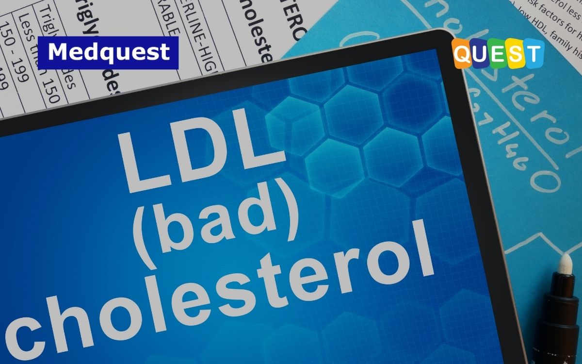 Bahaya Kolesterol Jahat, Perhatikan Pola Hidup!