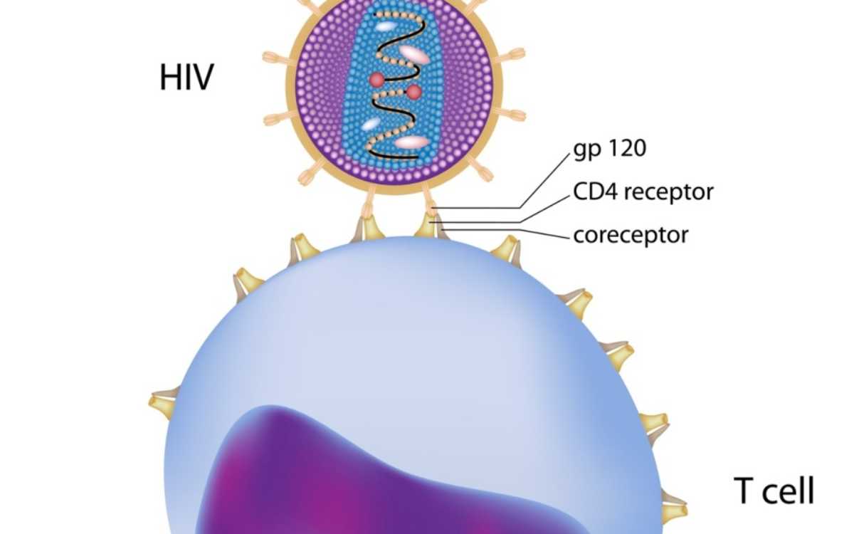 Ilustrasi Sel CD4 dengan Virus HIV