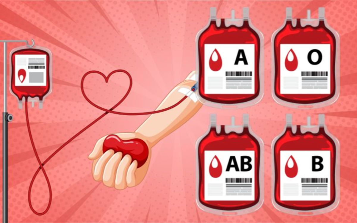 Ilustrasi Penggolongan Darah