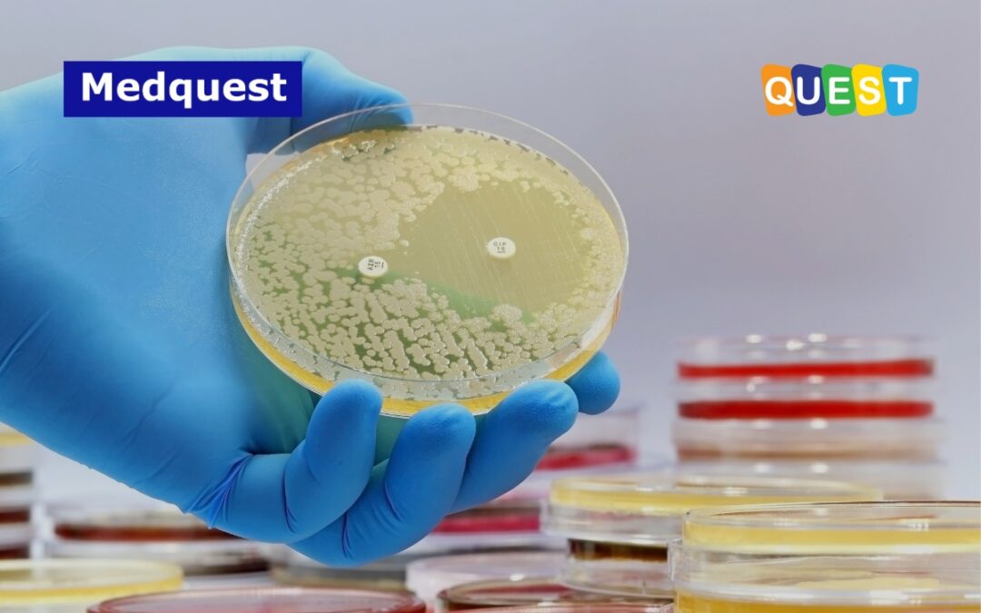 Skrining Resistensi Antimikroba di Rumah Sakit: Dampak Ekonomi dan Tantangan Penerapannya