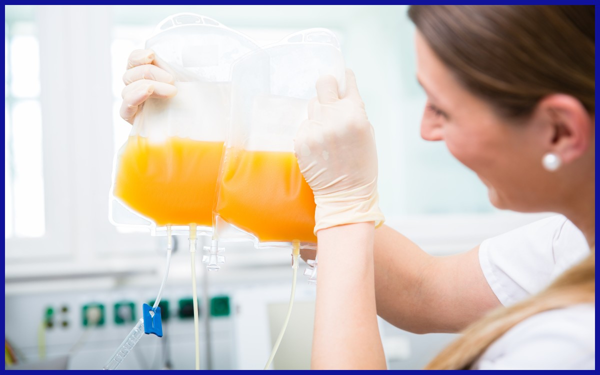 Plasma darah di dalam kantong darah.