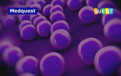 Hari Kesadaran MRSA Sedunia: Prevalensi, Tantangan Resistensi & Langkah Pencegahan