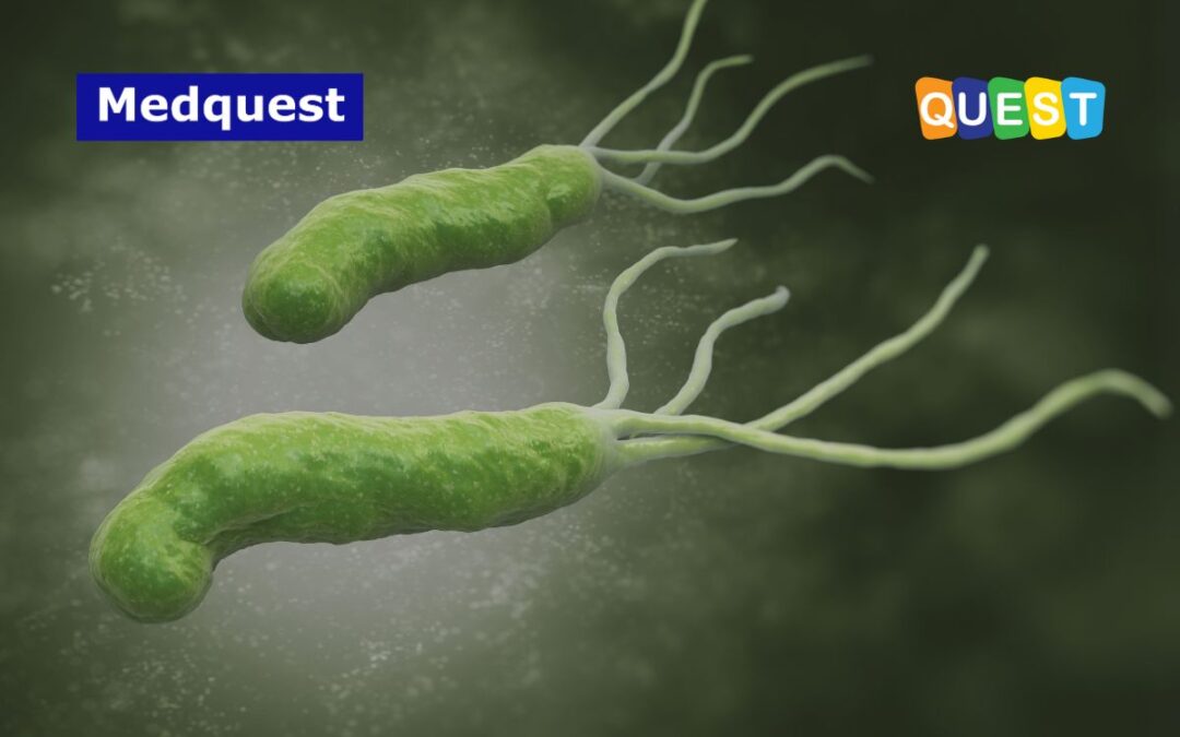 Helicobacter Pylori Salah Satu Penyebab Terjadinya Kanker Lambung