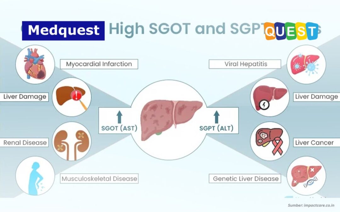 Biomarker Hati: Indikator Kunci untuk Mendeteksi Kerusakan dan Gangguan Hati