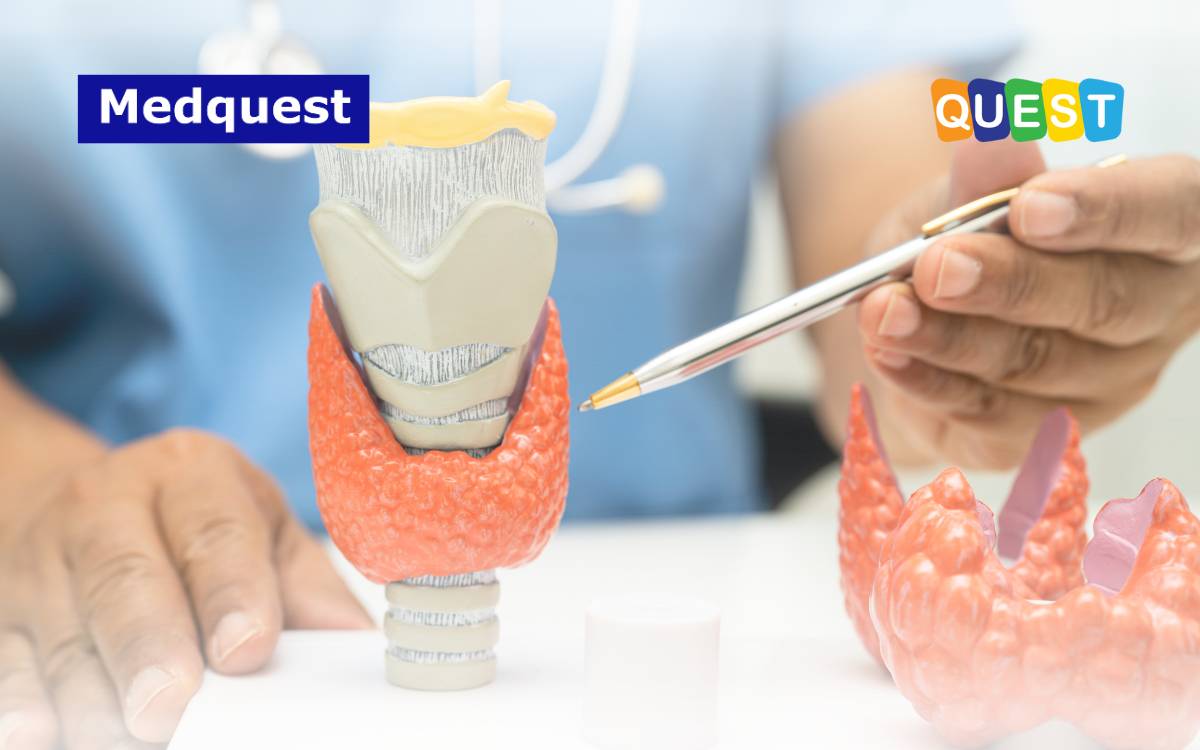 thumbnail Hormon Tiroid dan Perannya Bagi Tubuh