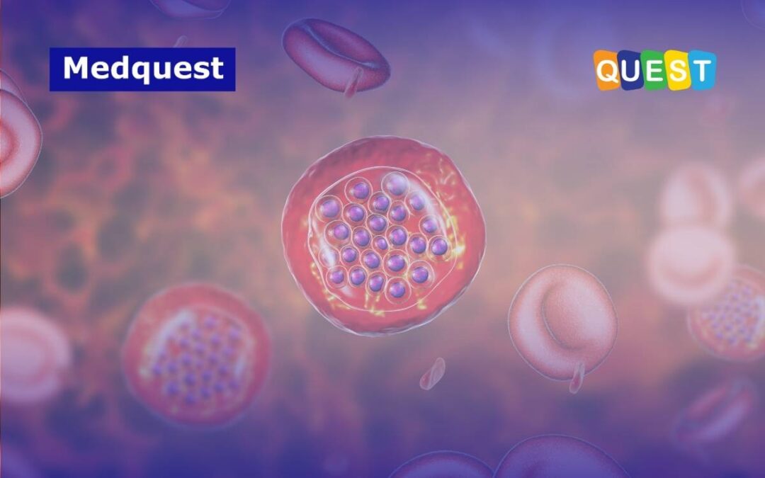 Penularan Penyakit Malaria di Ruang Lingkup Transfusi Darah: Cegah dengan Pemeriksaan Ini