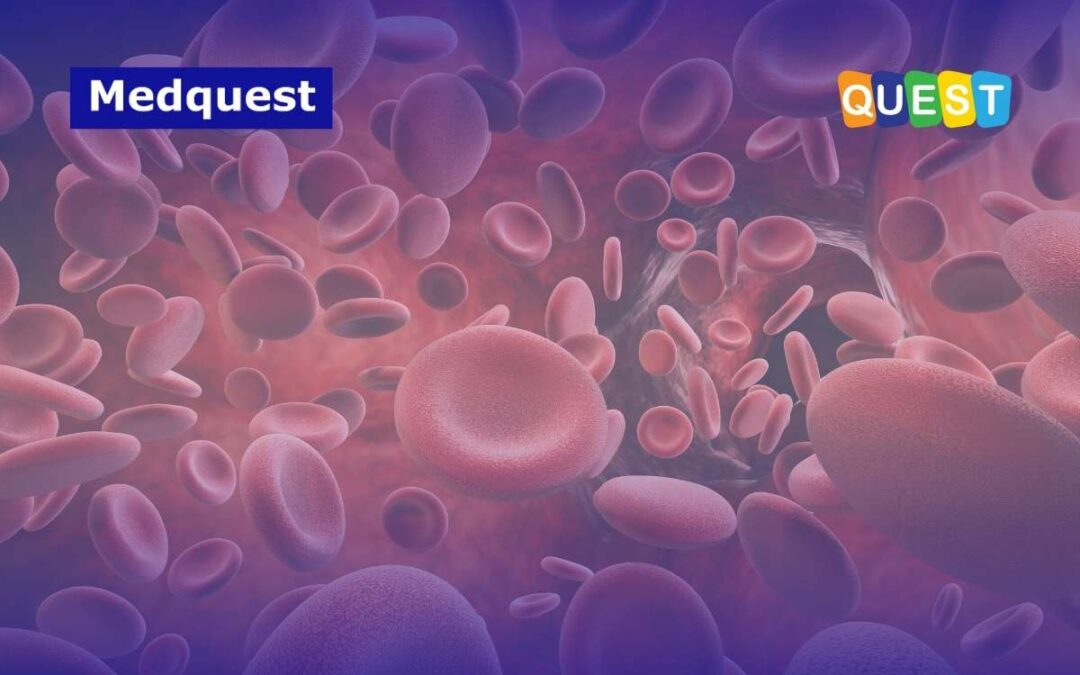 Peringatan World Thrombosis Day 2025: Cegah Pembekuan Darah, Lindungi Kesehatan Anda