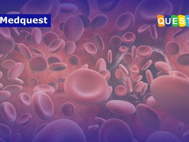 Peringatan World Thrombosis Day 2025: Cegah Pembekuan Darah, Lindungi Kesehatan Anda