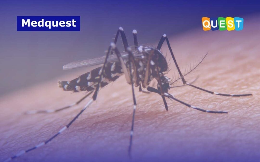 Target Indonesia untuk Capai 0 Kasus Kematian Dengue di 2030