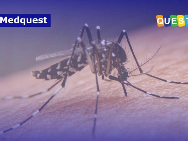 Target Indonesia untuk Capai 0 Kasus Kematian Dengue di 2030