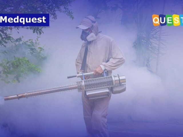Zero Dengue Death by 2030: Bisakah Dicapai?