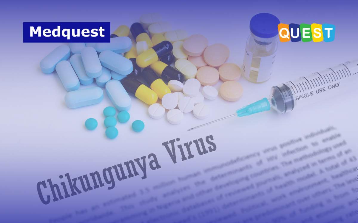 thumbnail Lonjakan Kasus Chikungunya di Indonesia Tahun 2025_ Apa yang Terjadi