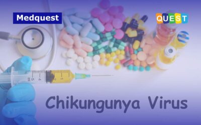 Mengapa Kasus Chikungunya Naik Tajam di 2025? Ini Penjelasan Ahli dan Data Kemenkes