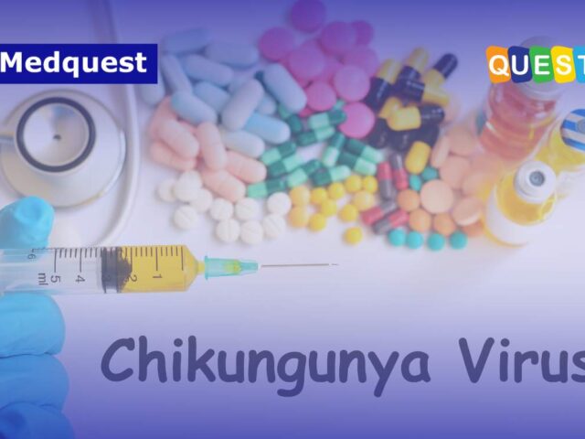 Mengapa Kasus Chikungunya Naik Tajam di 2025? Ini Penjelasan Ahli dan Data Kemenkes