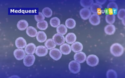 Prevalensi MRSA di Indonesia: Data, Risiko, dan Strategi Efektif Cegah Penyebaran di Fasilitas Kesehatan