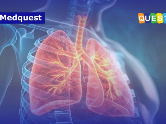 Lonjakan Kasus ISPA di Indonesia 2025: Fakta di Balik Isu Flu Singapura