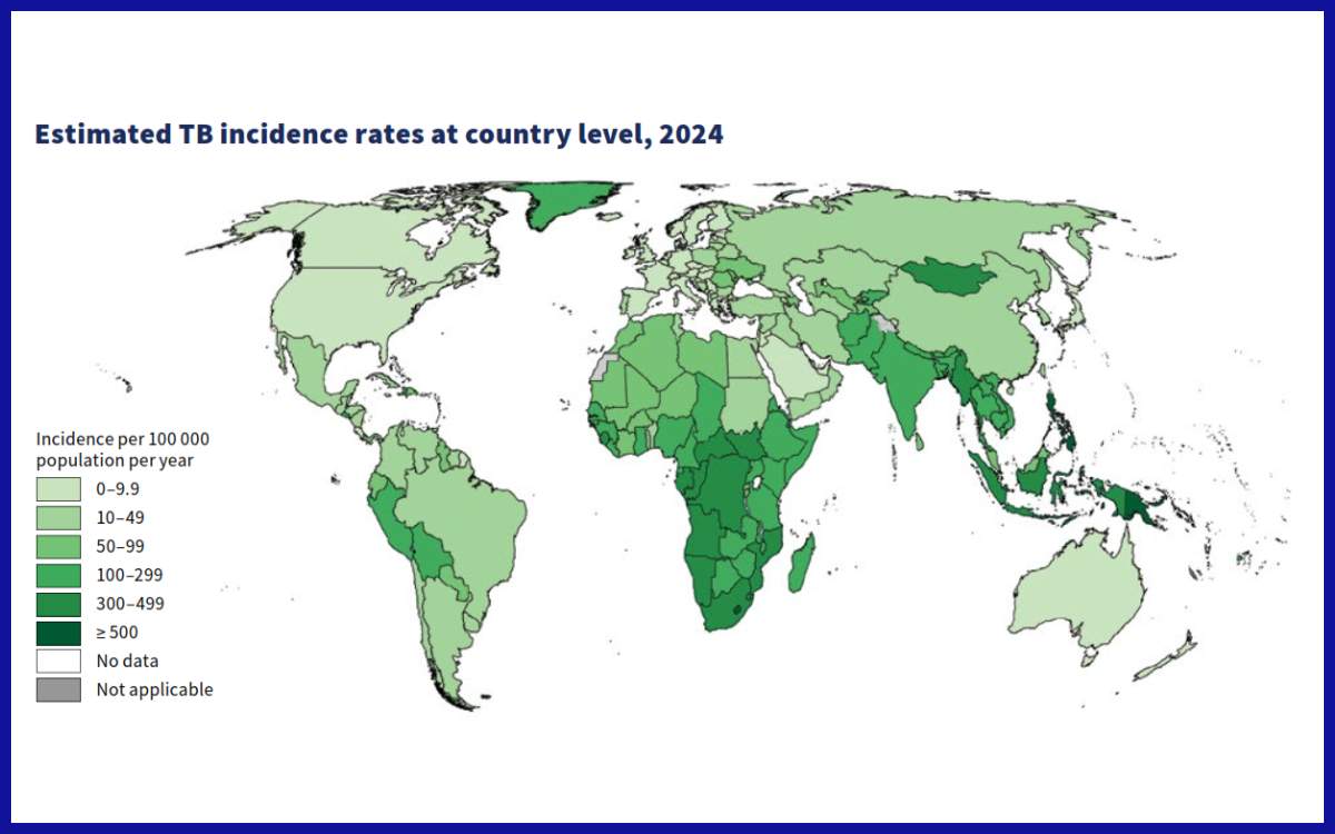Estimasi Tingkat Kejadian TB di Berbagai Negara