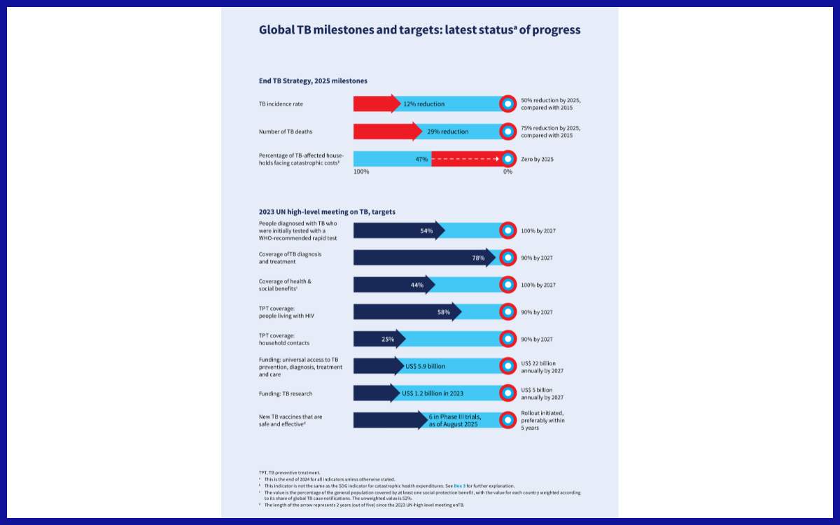 Perkembangan Strategi END TB dan Hasil Rapat Tingkat Tinggi WHO