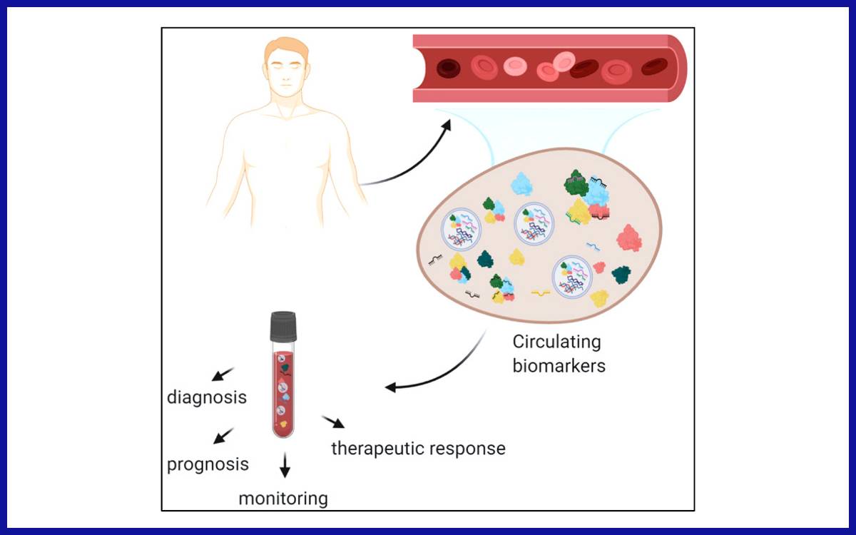 Biomarker yang beredar dalam darah dapat digunakan untuk diagnosis, pemantauan, dan terapi penyakit
