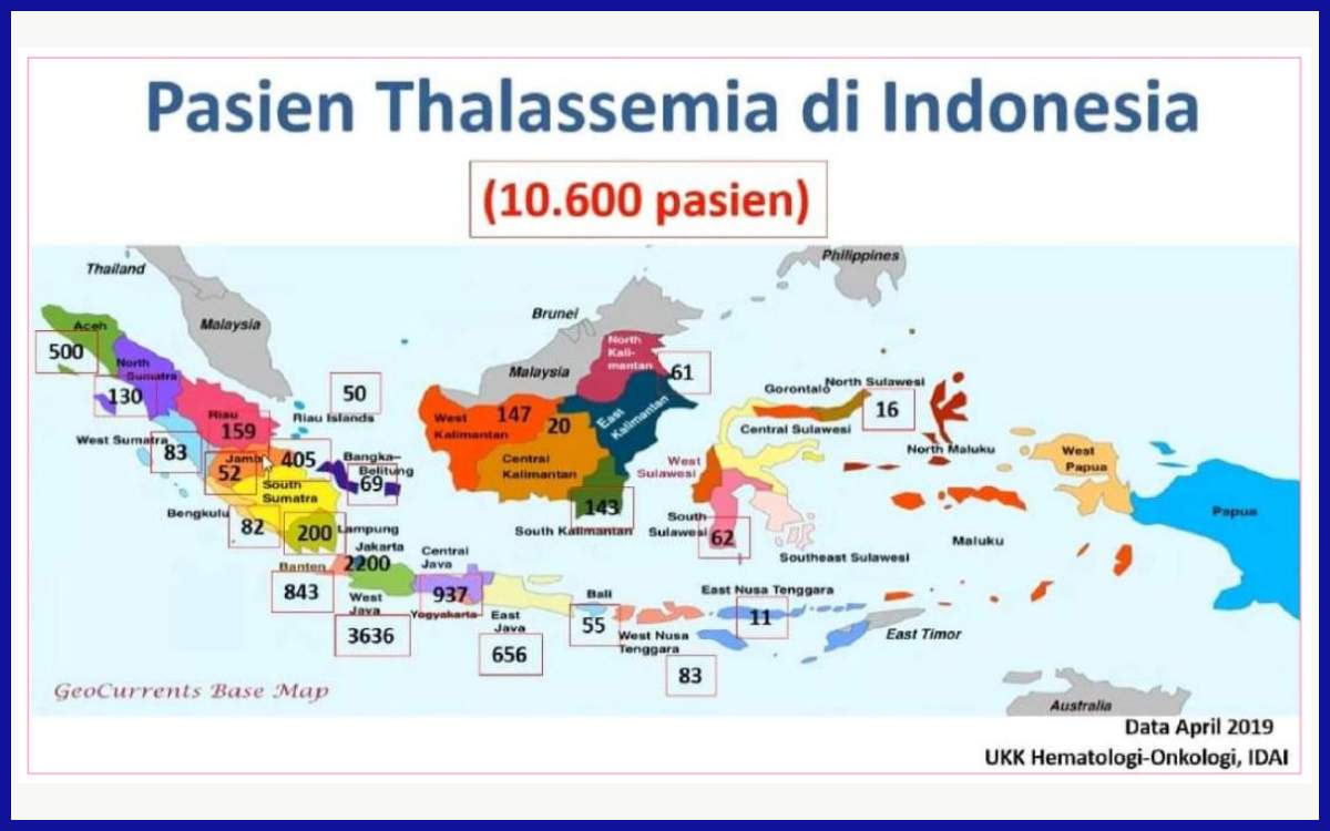 Distribusi pasien talasemia di seluruh pulau dan provinsi di Indonesia