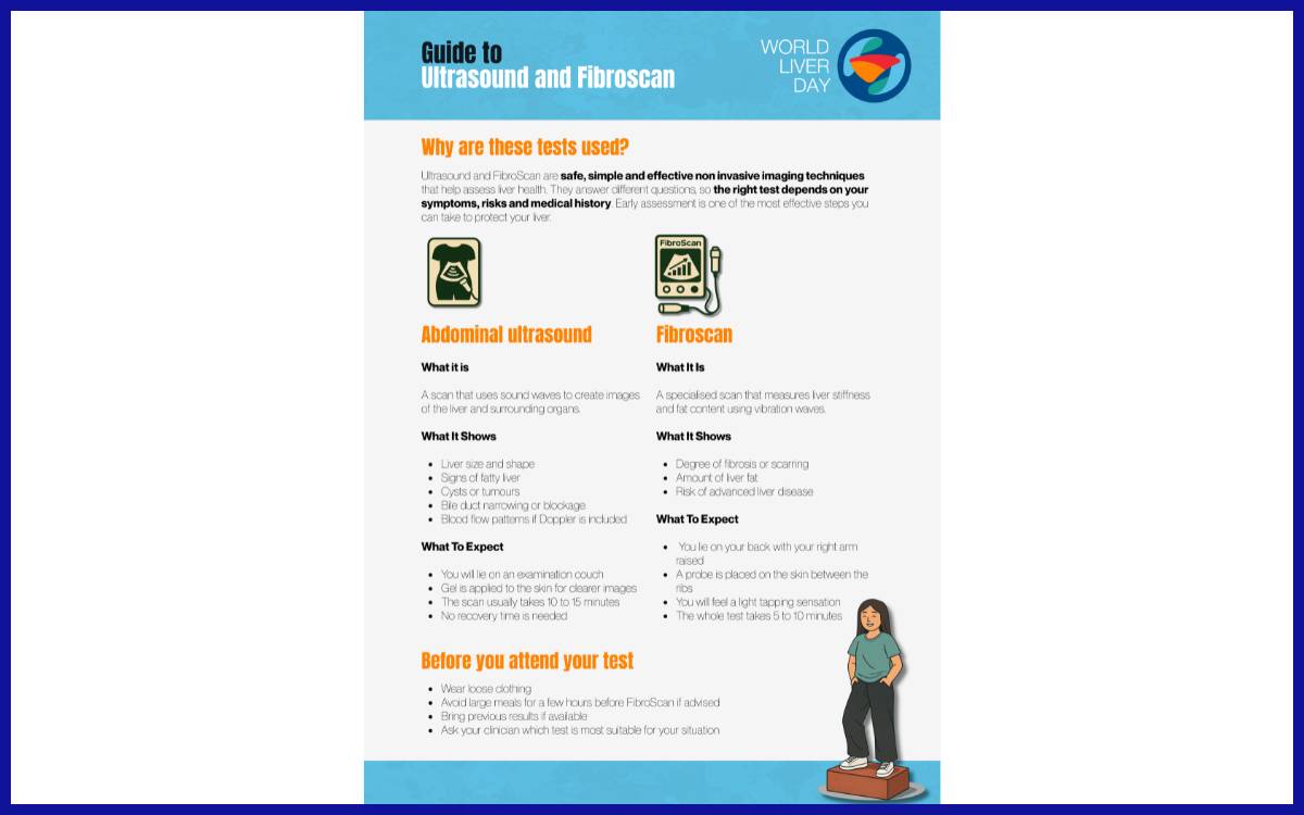 Panduan mengenai pemeriksaan liver