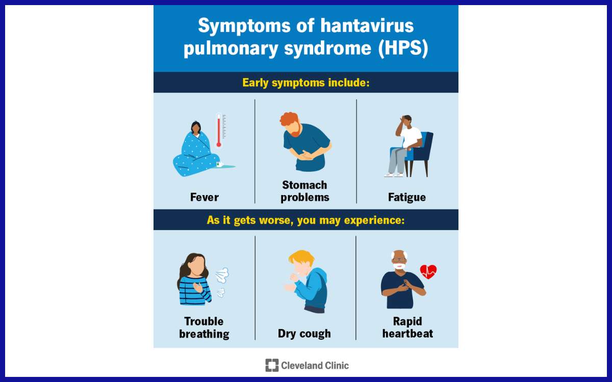 Infografis seputar gejala Hantavirus