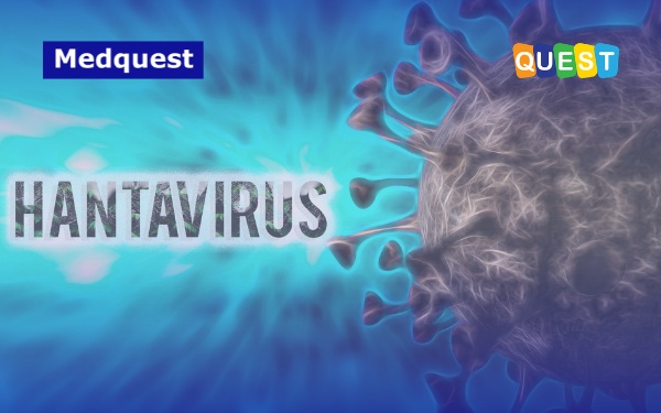 Hantavirus: Penyebab, Gejala, Cara Penularan, dan Pencegahan yang Perlu Kamu Tahu