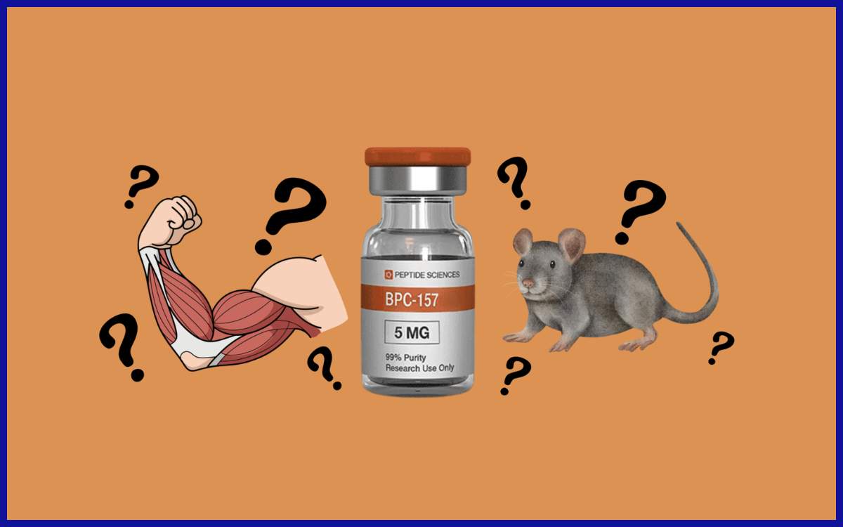 BPC-157 (Body Protection Compound-157)
